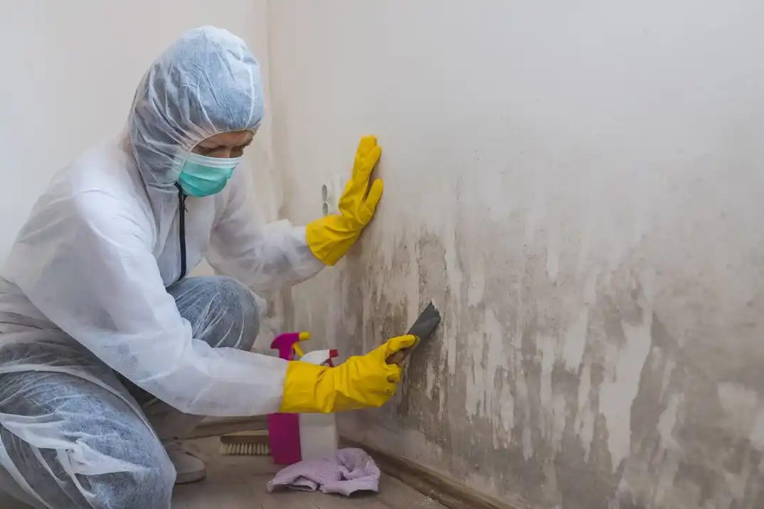water damage restoration service Carriage Cove